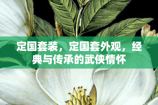 定国套装,定国套外观,经典与传承的武侠情怀 定国套装,定国套外观,经典与传承的武侠情怀