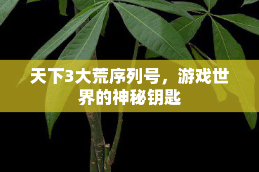 天下3大荒序列号,游戏世界的神秘钥匙 天下3大荒序列号,游戏世界的神秘钥匙