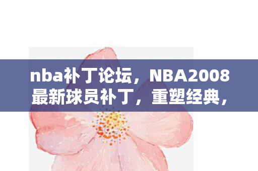 nba补丁论坛,NBA2008最新球员补丁,重塑经典,再现辉煌 nba补丁论坛,NBA2008最新球员补丁,重塑经典,再现辉煌