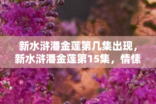 新水浒潘金莲第几集出现,新水浒潘金莲第15集,情愫暗生,金莲初露锋芒 新水浒潘金莲第几集出现,新水浒潘金莲第15集,情愫暗生,金莲初露锋芒
