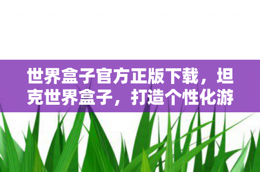 世界盒子官方正版下载，坦克世界盒子，打造个性化游戏体验的必备神器
