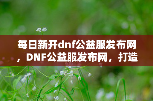 每日新开dnf公益服发布网，DNF公益服发布网，打造玩家专属的梦幻世界