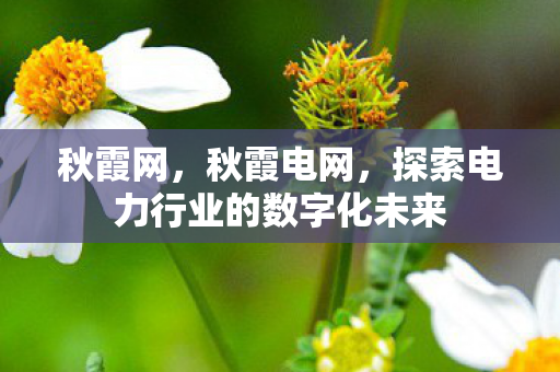 秋霞网,秋霞电网,探索电力行业的数字化未来 秋霞网,秋霞电网,探索电力行业的数字化未来