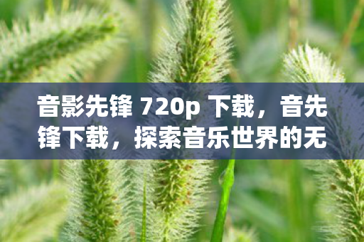 音影先锋 720p 下载,音先锋下载,探索音乐世界的无限可能 音影先锋 720p 下载,音先锋下载,探索音乐世界的无限可能
