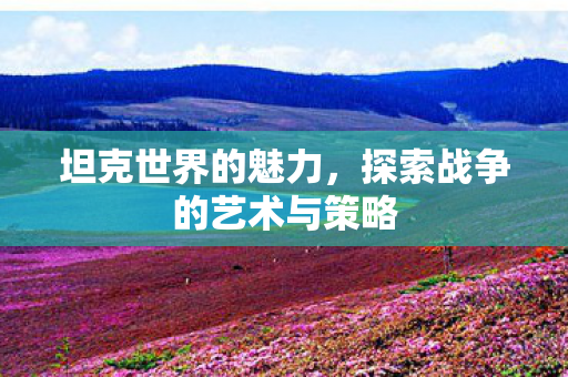 坦克世界的魅力,探索战争的艺术与策略 坦克世界的魅力,探索战争的艺术与策略