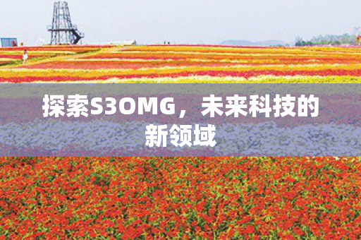 探索S3OMG，未来科技的新领域