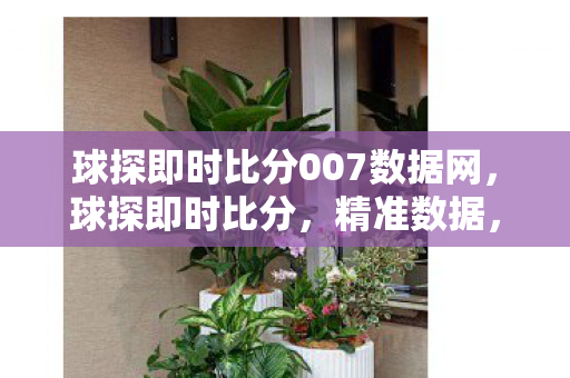 球探即时比分007数据网,球探即时比分,精准数据,洞悉比赛脉搏 球探即时比分007数据网,球探即时比分,精准数据,洞悉比赛脉搏