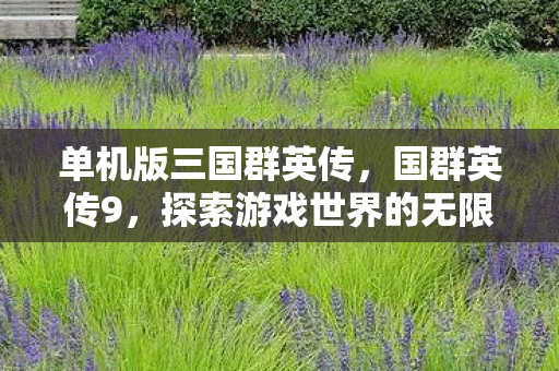 单机版三国群英传,国群英传9,探索游戏世界的无限可能 单机版三国群英传,国群英传9,探索游戏世界的无限可能