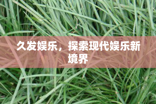 久发娱乐,探索现代娱乐新境界 久发娱乐,探索现代娱乐新境界