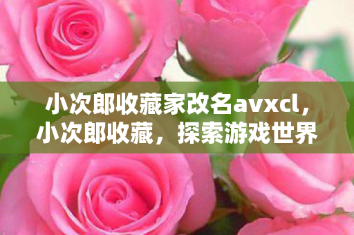 小次郎收藏家改名avxcl,小次郎收藏,探索游戏世界的独特魅力 小次郎收藏家改名avxcl,小次郎收藏,探索游戏世界的独特魅力