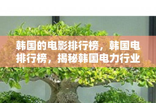 韩国的电影排行榜,韩国电排行榜,揭秘韩国电力行业的璀璨之星 韩国的电影排行榜,韩国电排行榜,揭秘韩国电力行业的璀璨之星