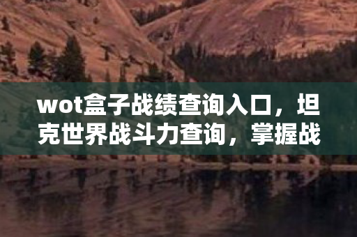 wot盒子战绩查询入口,坦克世界战斗力查询,掌握战场主动权的关键 wot盒子战绩查询入口,坦克世界战斗力查询,掌握战场主动权的关键