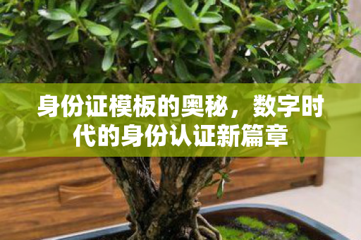 身份证模板的奥秘,数字时代的身份认证新篇章 身份证模板的奥秘,数字时代的身份认证新篇章