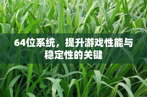 64位系统,提升游戏性能与稳定性的关键 64位系统,提升游戏性能与稳定性的关键