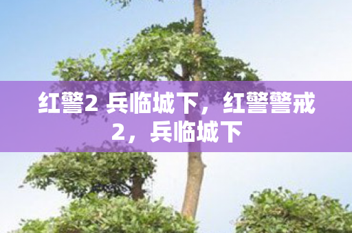 红警2 兵临城下,红警警戒2,兵临城下 红警2 兵临城下,红警警戒2,兵临城下