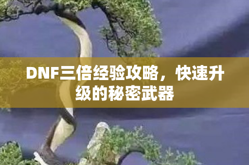 DNF三倍经验攻略,快速升级的秘密武器 DNF三倍经验攻略,快速升级的秘密武器