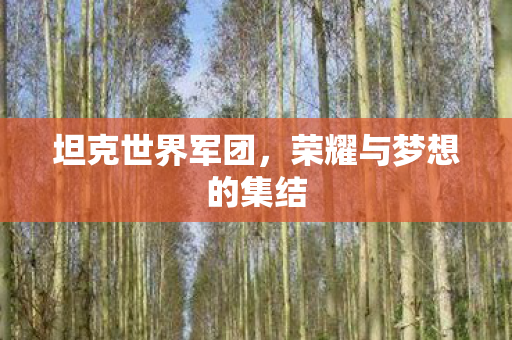 坦克世界军团，荣耀与梦想的集结