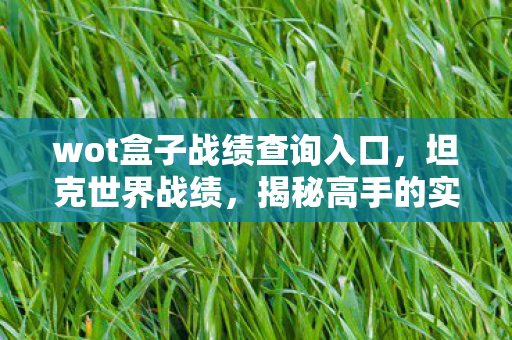 wot盒子战绩查询入口，坦克世界战绩，揭秘高手的实战智慧