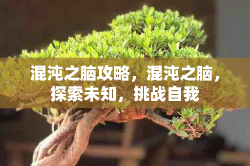 混沌之脑攻略,混沌之脑,探索未知,挑战自我 混沌之脑攻略,混沌之脑,探索未知,挑战自我