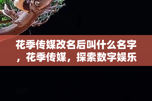 花季传媒改名后叫什么名字,花季传媒,探索数字娱乐的新边界 花季传媒改名后叫什么名字,花季传媒,探索数字娱乐的新边界