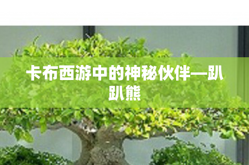 卡布西游中的神秘伙伴—趴趴熊 卡布西游中的神秘伙伴—趴趴熊