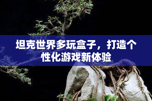 坦克世界多玩盒子,打造个性化游戏新体验 坦克世界多玩盒子,打造个性化游戏新体验