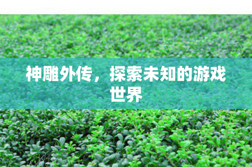 神雕外传,探索未知的游戏世界 神雕外传,探索未知的游戏世界
