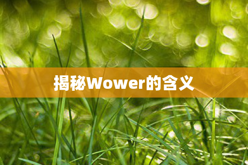 揭秘Wower的含义 揭秘Wower的含义