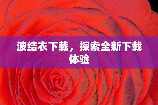 波结衣下载，探索全新下载体验