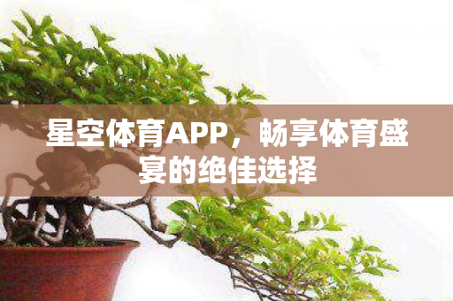 星空体育APP,畅享体育盛宴的绝佳选择 星空体育APP,畅享体育盛宴的绝佳选择