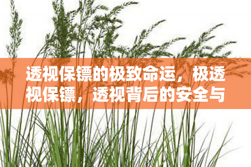 透视保镖的极致命运，极透视保镖，透视背后的安全与隐私保护