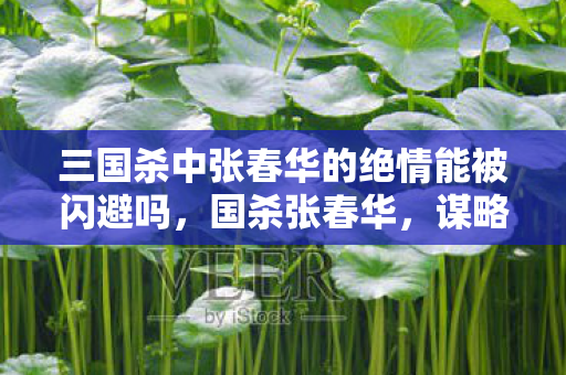 三国杀中张春华的绝情能被闪避吗,国杀张春华,谋略与勇气的交织 三国杀中张春华的绝情能被闪避吗,国杀张春华,谋略与勇气的交织