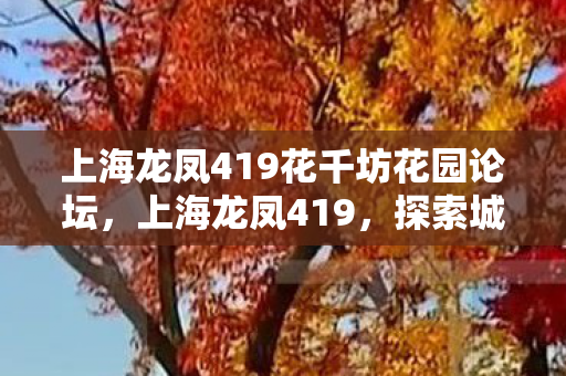 上海龙凤419花千坊花园论坛,上海龙凤419,探索城市隐秘的社交角落 上海龙凤419花千坊花园论坛,上海龙凤419,探索城市隐秘的社交角落