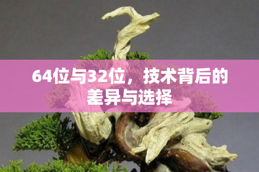 64位与32位，技术背后的差异与选择