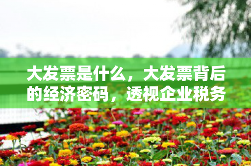 大发票是什么，大发票背后的经济密码，透视企业税务合规与成本控制