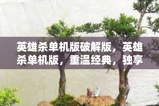 英雄杀单机版破解版,英雄杀单机版,重温经典,独享策略对决的乐趣 英雄杀单机版破解版,英雄杀单机版,重温经典,独享策略对决的乐趣