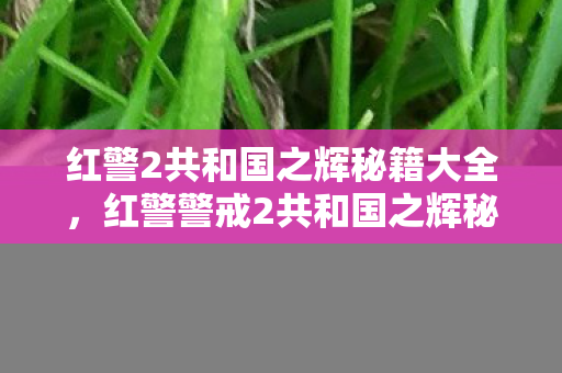 红警2共和国之辉秘籍大全,红警警戒2共和国之辉秘籍,提升游戏策略与效率的实战指南 红警2共和国之辉秘籍大全,红警警戒2共和国之辉秘籍,提升游戏策略与效率的实战指南