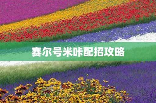 赛尔号米咔配招攻略 赛尔号米咔配招攻略