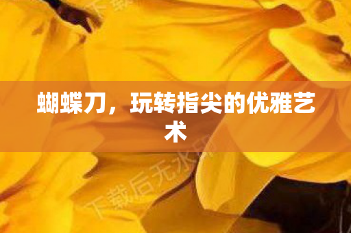 蝴蝶刀,玩转指尖的优雅艺术 蝴蝶刀,玩转指尖的优雅艺术