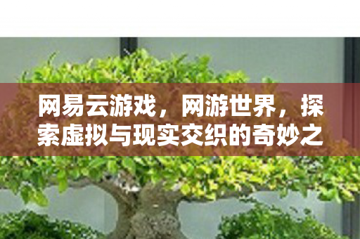 网易云游戏,网游世界,探索虚拟与现实交织的奇妙之旅 网易云游戏,网游世界,探索虚拟与现实交织的奇妙之旅