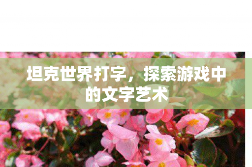 坦克世界打字,探索游戏中的文字艺术 坦克世界打字,探索游戏中的文字艺术