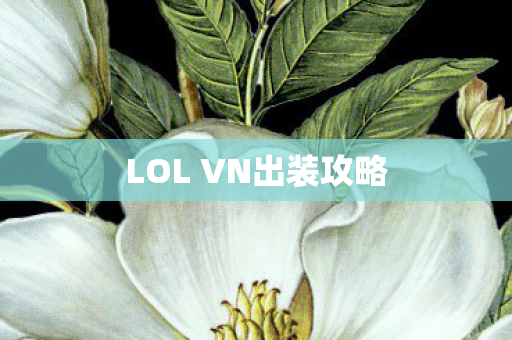 LOL VN出装攻略 LOL VN出装攻略