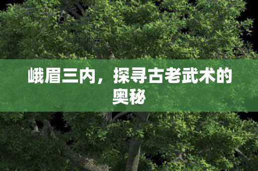 峨眉三内,探寻古老武术的奥秘 峨眉三内,探寻古老武术的奥秘