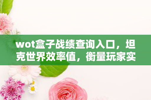 wot盒子战绩查询入口,坦克世界效率值,衡量玩家实力的新标杆 wot盒子战绩查询入口,坦克世界效率值,衡量玩家实力的新标杆