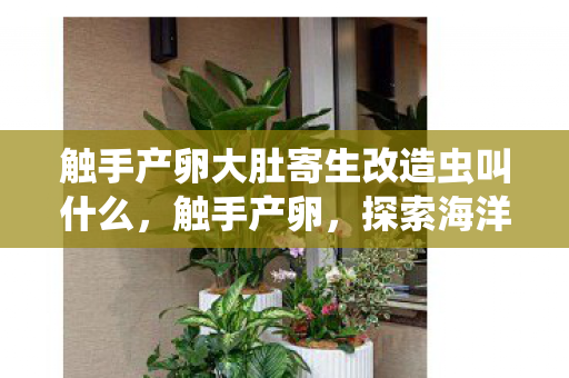 触手产卵大肚寄生改造虫叫什么,触手产卵,探索海洋深处的神秘奇观 触手产卵大肚寄生改造虫叫什么,触手产卵,探索海洋深处的神秘奇观