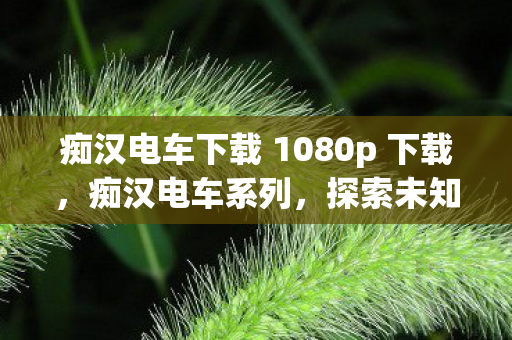 痴汉电车下载 1080p 下载,痴汉电车系列,探索未知的欲望与冒险 痴汉电车下载 1080p 下载,痴汉电车系列,探索未知的欲望与冒险