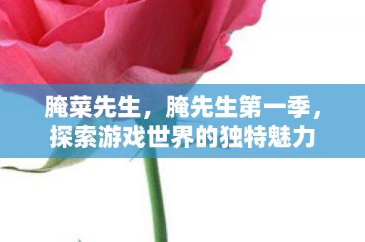 腌菜先生,腌先生第一季,探索游戏世界的独特魅力 腌菜先生,腌先生第一季,探索游戏世界的独特魅力