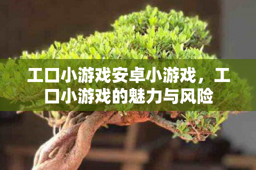 工口小游戏安卓小游戏，工口小游戏的魅力与风险