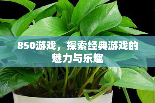 850游戏,探索经典游戏的魅力与乐趣 850游戏,探索经典游戏的魅力与乐趣