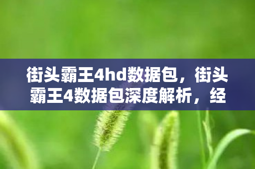 街头霸王4hd数据包,街头霸王4数据包深度解析,经典游戏的数字时代重生 街头霸王4hd数据包,街头霸王4数据包深度解析,经典游戏的数字时代重生